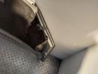 Ford Focus DA3/DB3 ab.2004 Motorhaube