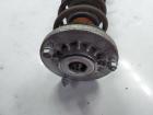 BMW 5-ER G30 Bj.2018 Federbein Hinten Rechts 3352686661508 814902009102