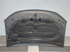 Dacia Sandero 2 SD Stepway Motorhaube ab 11/12 Dacia Sandero 2 SD Stepway Motorhaube ab 11/12