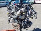 Audi A4 8W BJ.2017 Motor Engine Deta ohne Test