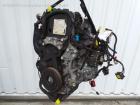 Citroen C3 Pluriel; Motor; Engine; ab 05/03-; 10F065