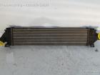 Ford Focus Typ DA3/DB3 Ladeluftkühler ab 01/08 6G919L440AE