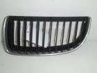 BMW 3-Er E90/E91 Kühlergrill links ab 2005 7120007 22405910