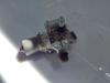 Dacia Lodgy JS Bj.2015 Wischermotor Vorne 15060613
