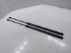 Ford Focus CGE Bj.2021 Gasdruckdämpfer Heckklappe 2x JX7BN406A10AB
