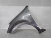 Renault Clio III BR Bj.2009 Kotflügel Links Grau Lackiert Kratzer