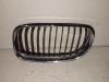 BMW E91 Bj.2011 Kühlergrill Links 7201967