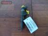 Citroen Jumper Einspritzdüse ab 02/02 0445120002