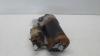 Mercedes B-Klasse W245 Anlasser Starter ab 06/05 0051517401